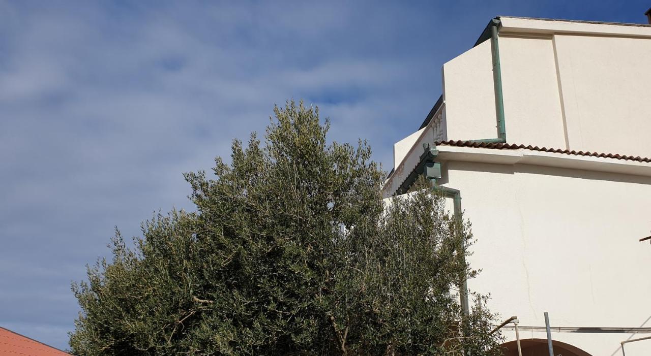 Bellavista Bed And Breakfast พาก ภายนอก รูปภาพ